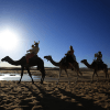Expérience de randonnée à dos de chameau